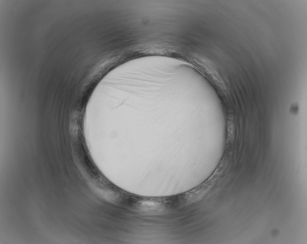 X0000116890167201002021216