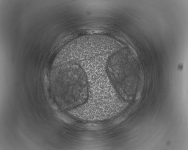 X0000116890169201002021216