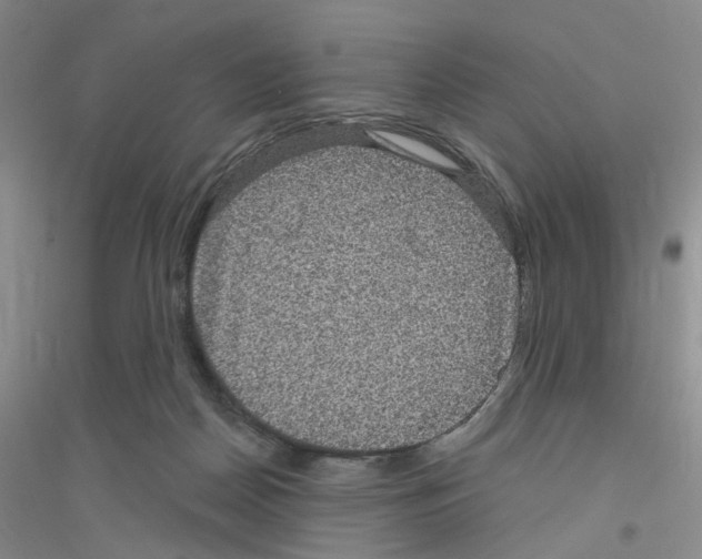 X0000116890170201002021216