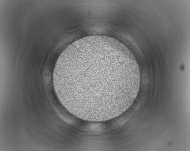 X0000116890173201002021216