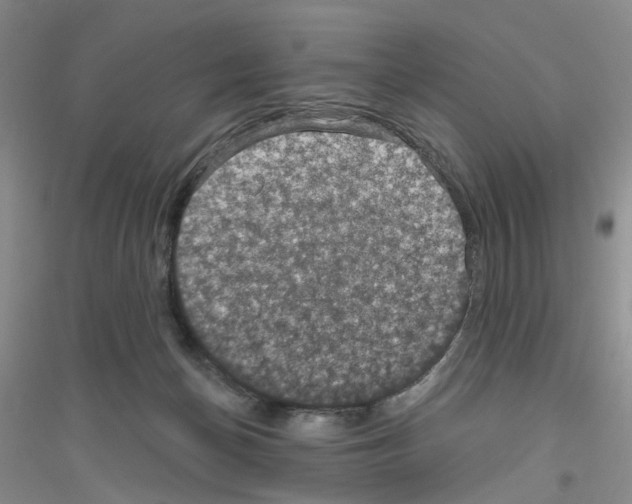 X0000116890174201002021216