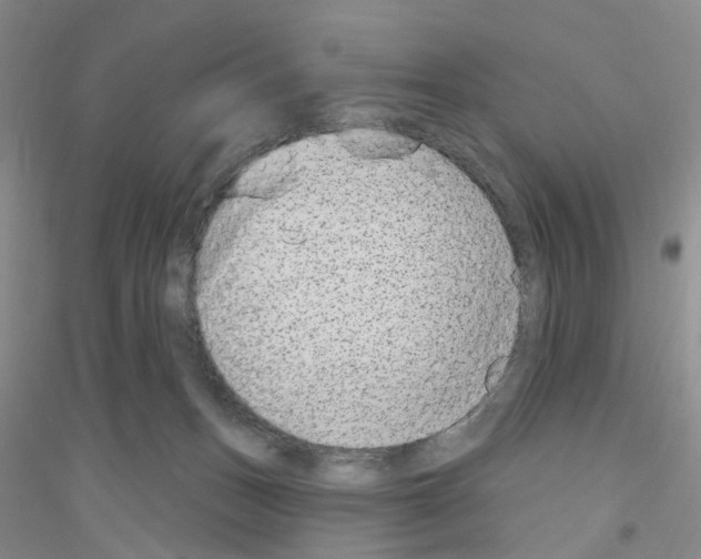 X0000116890175201002021217