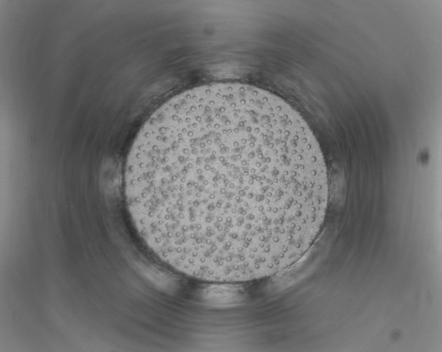 X0000116890179201002021217