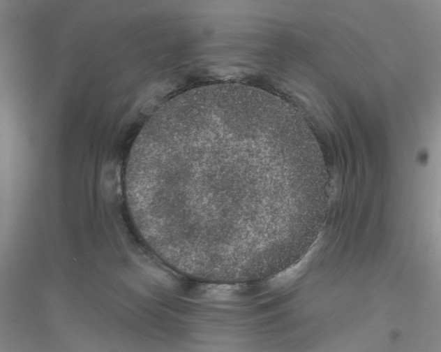 X0000116890182201002021217