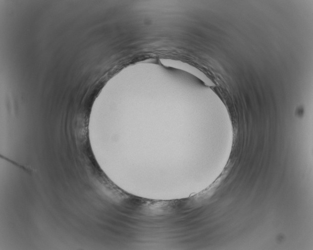 X0000116890186201002021217