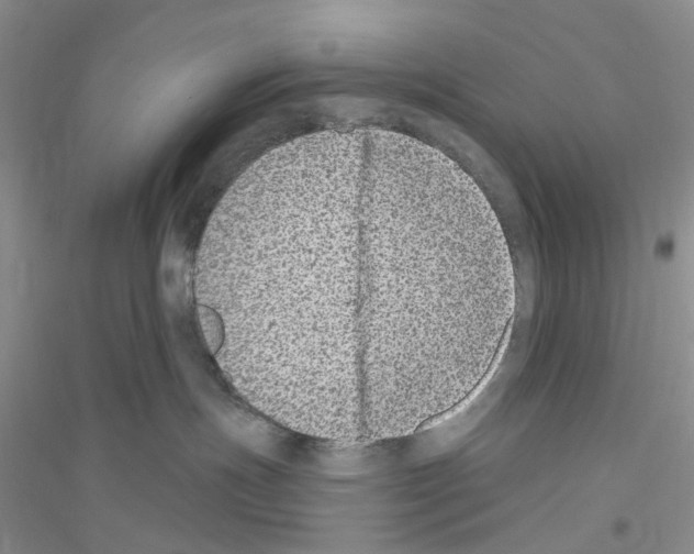 X0000116890191201002021217