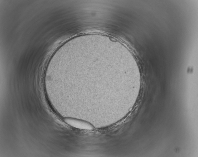 X0000116890193201002021216