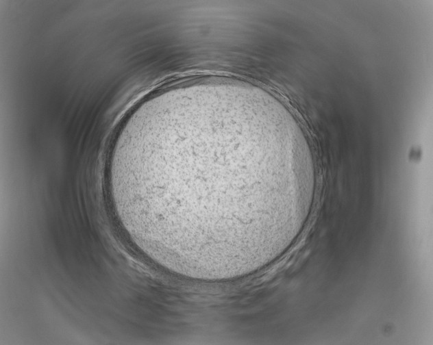 X0000116890194201002021216