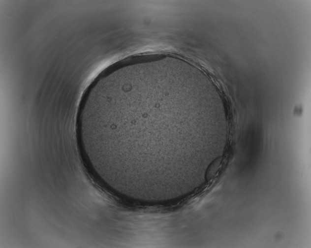 X0000116890196201002021216