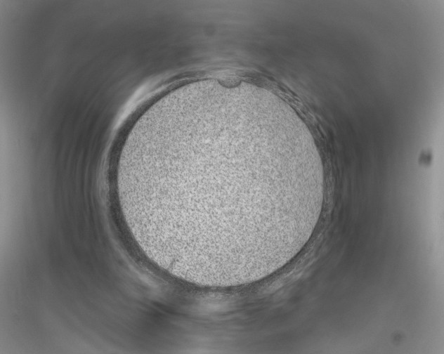 X0000116890198201002021216