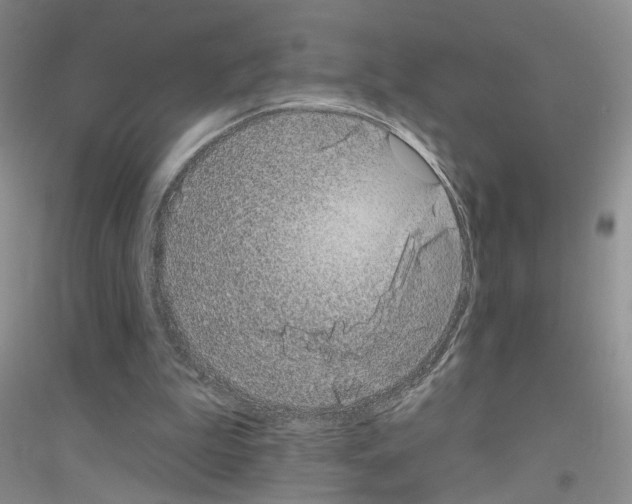 X0000116890199201002021216