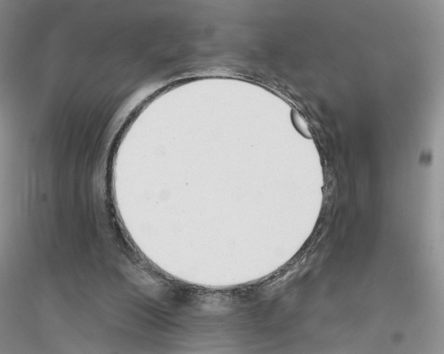 X0000116890200201002021216