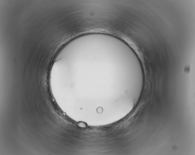 X0000116890201201002021216