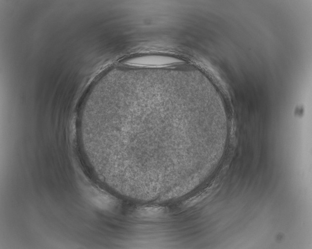 X0000116890202201002021216