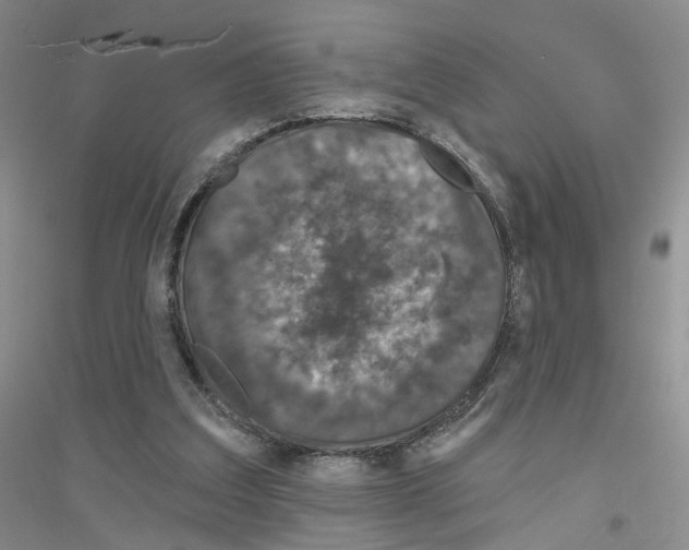 X0000116890203201002021216