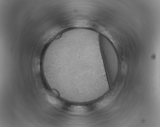 X0000116890205201002021216