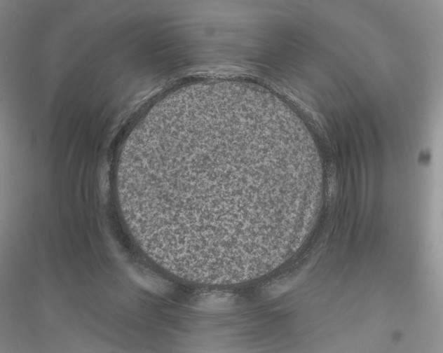 X0000116890206201002021216