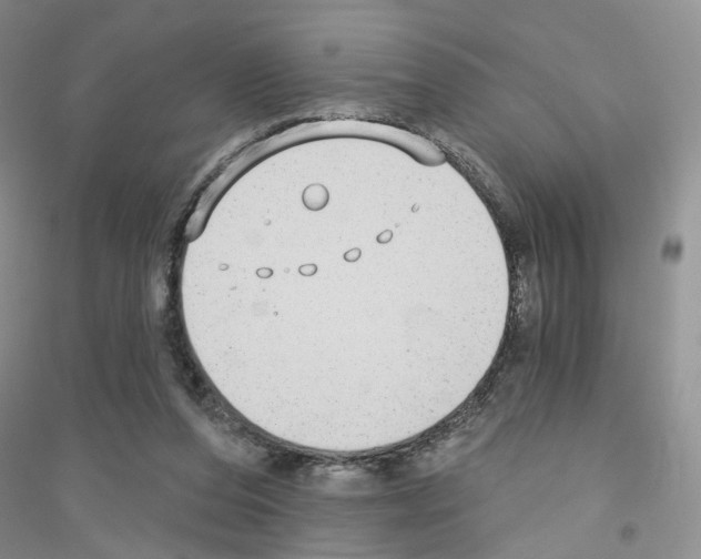 X0000116890208201002021216