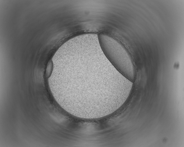 X0000116890209201002021216