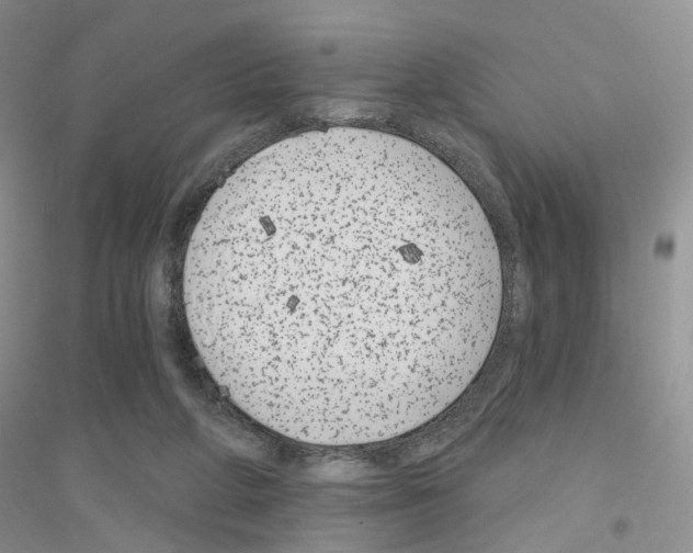 X0000116890210201002021216