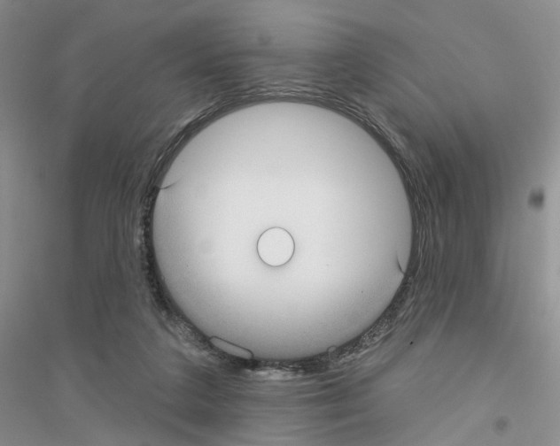 X0000116890211201002021216