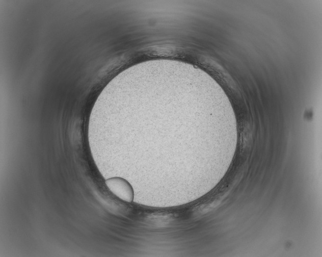 X0000116890213201002021216