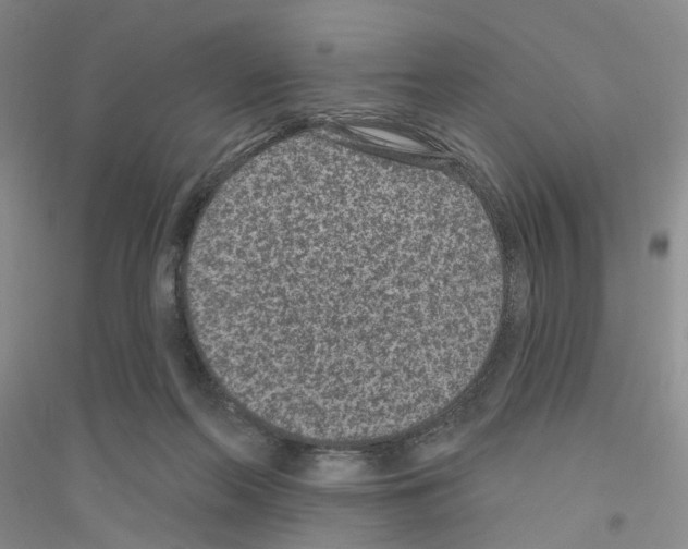 X0000116890214201002021216