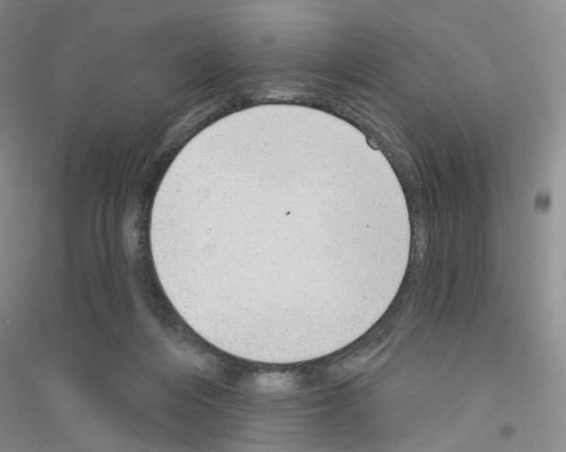 X0000116890216201002021216