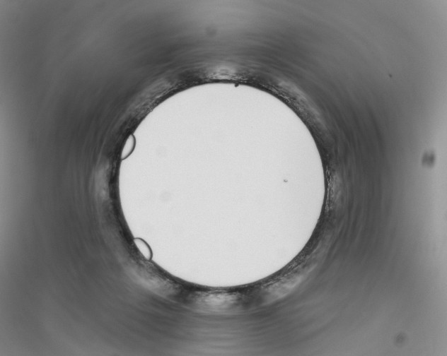 X0000116890217201002021216