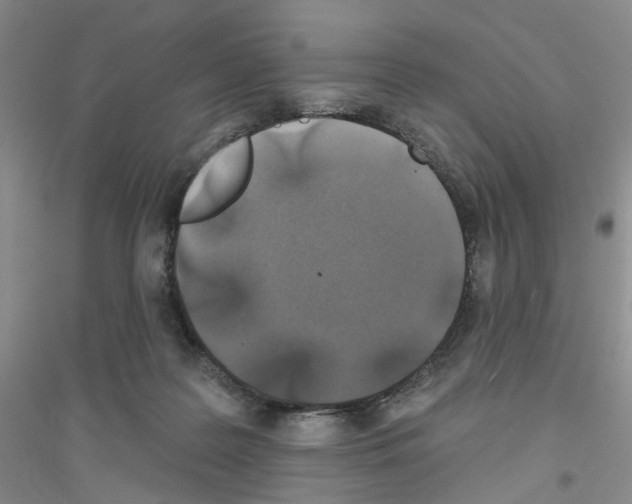 X0000116890219201002021216