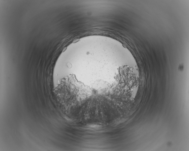 X0000116890220201002021216