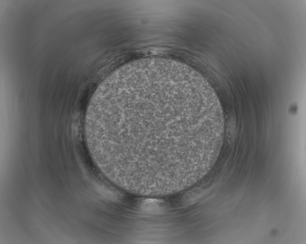 X0000116890222201002021216