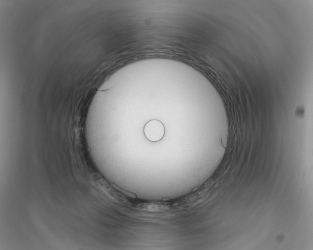 X0000116890223201002021216