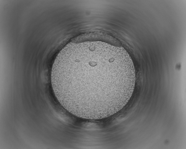 X0000116890224201002021216