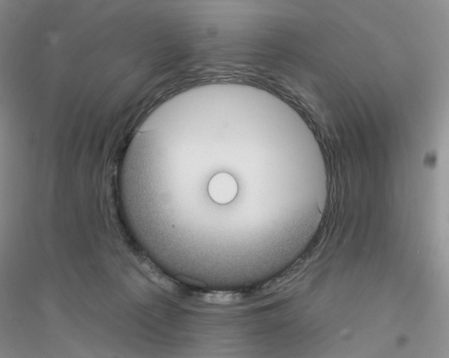 X0000116890225201002021216