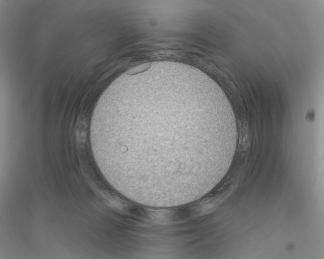 X0000116890226201002021216