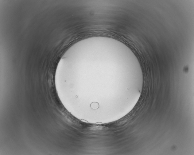 X0000116890227201002021216