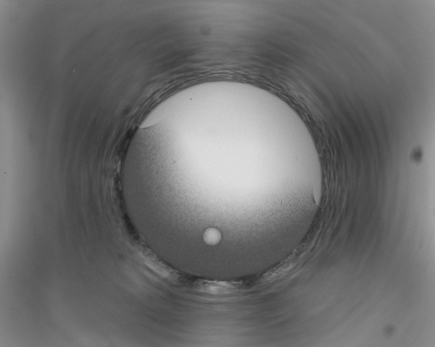 X0000116890229201002021216