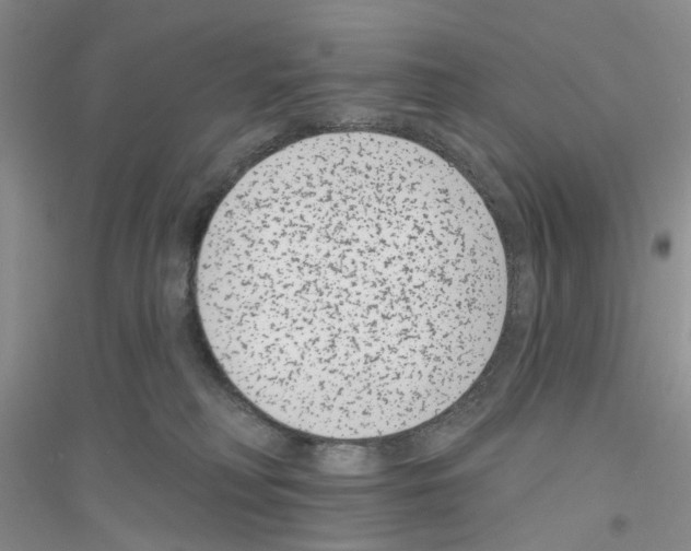 X0000116890230201002021216