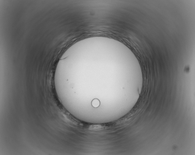 X0000116890231201002021216