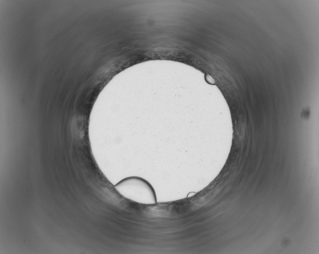 X0000116890232201002021216