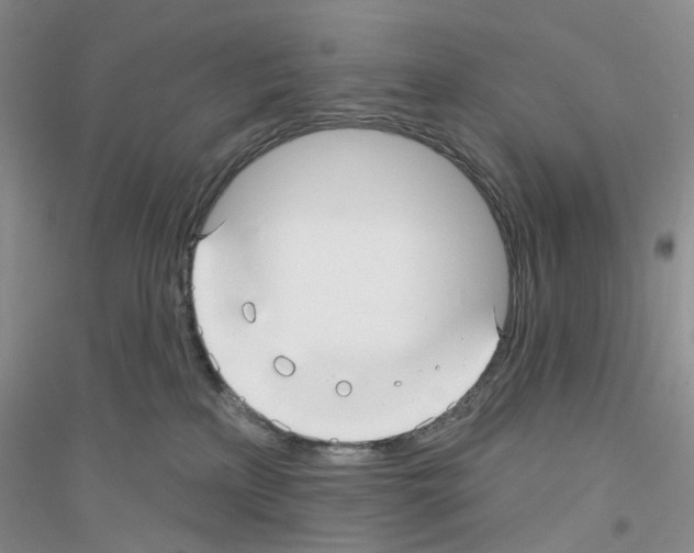 X0000116890233201002021216