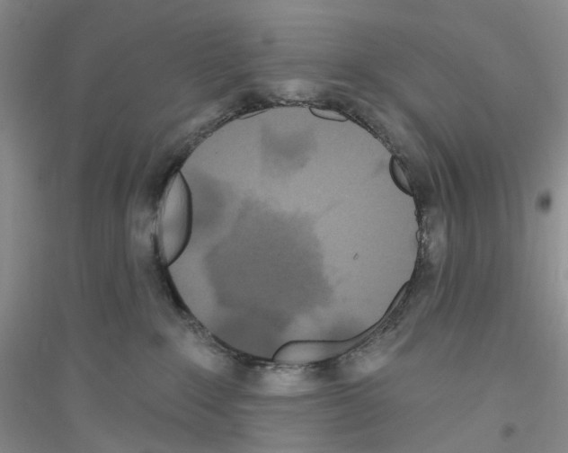 X0000116890235201002021216