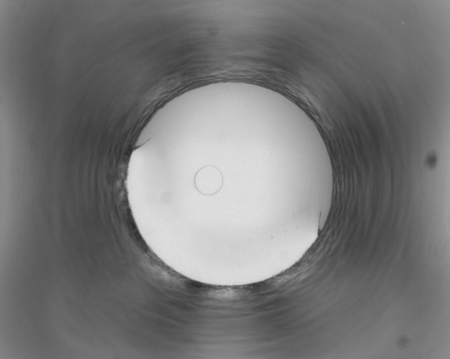 X0000116890237201002021215