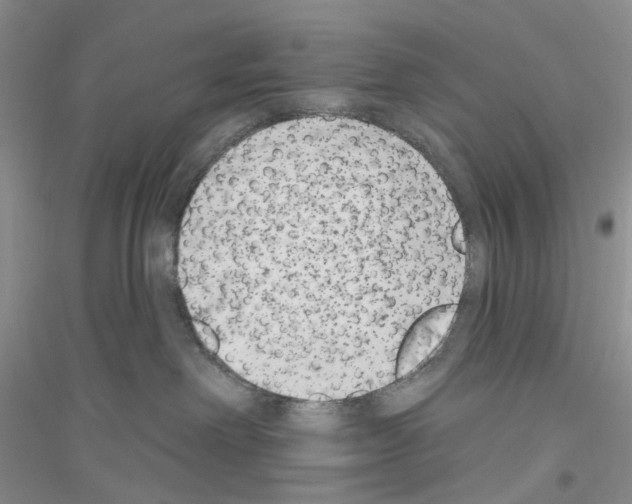 X0000116890238201002021215