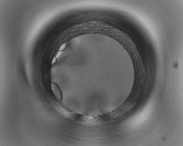 X0000116890239201002021215