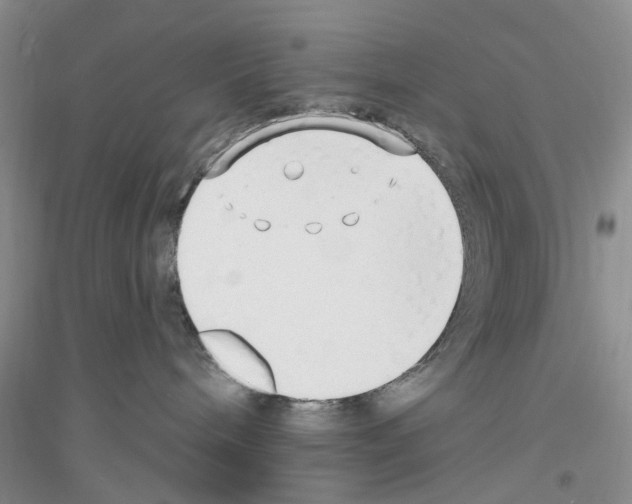 X0000116890240201002021215