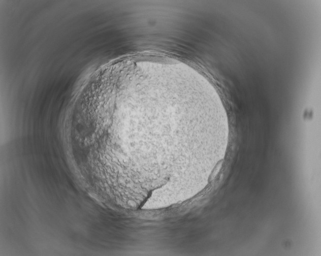 X0000116890241201002021215