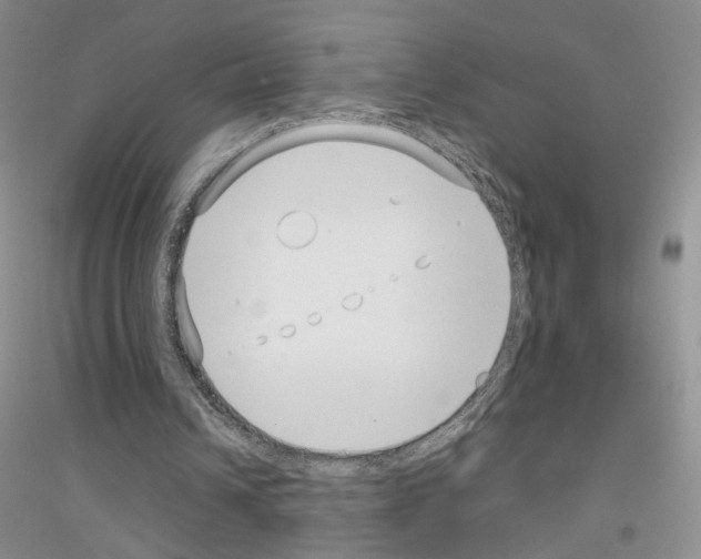 X0000116890242201002021215