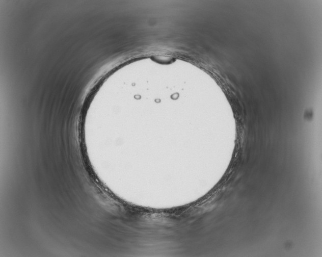 X0000116890244201002021215